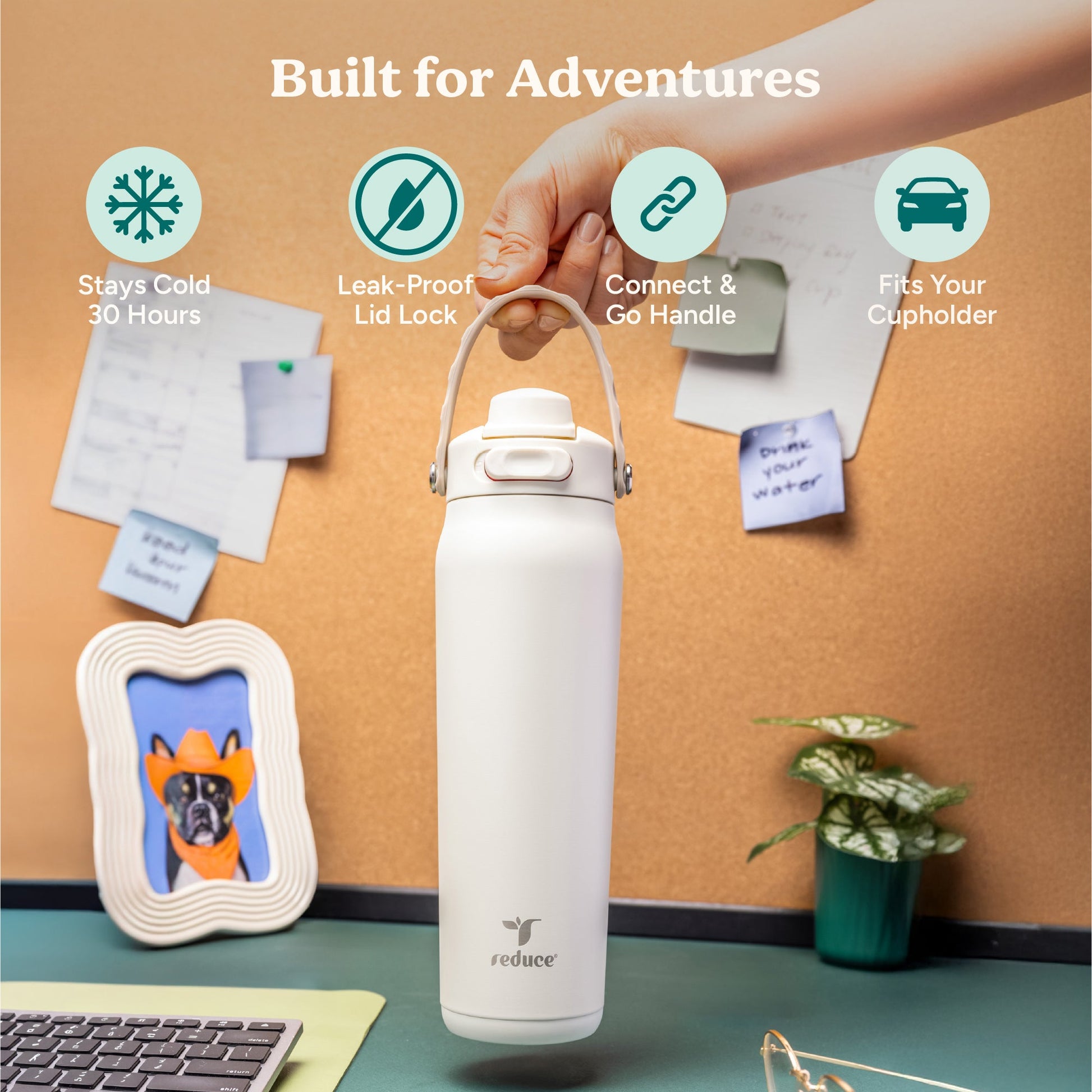 aura-26-oz-l5 Aura_26oz_LilacBud_PDP_Infographic_1-23.jpg