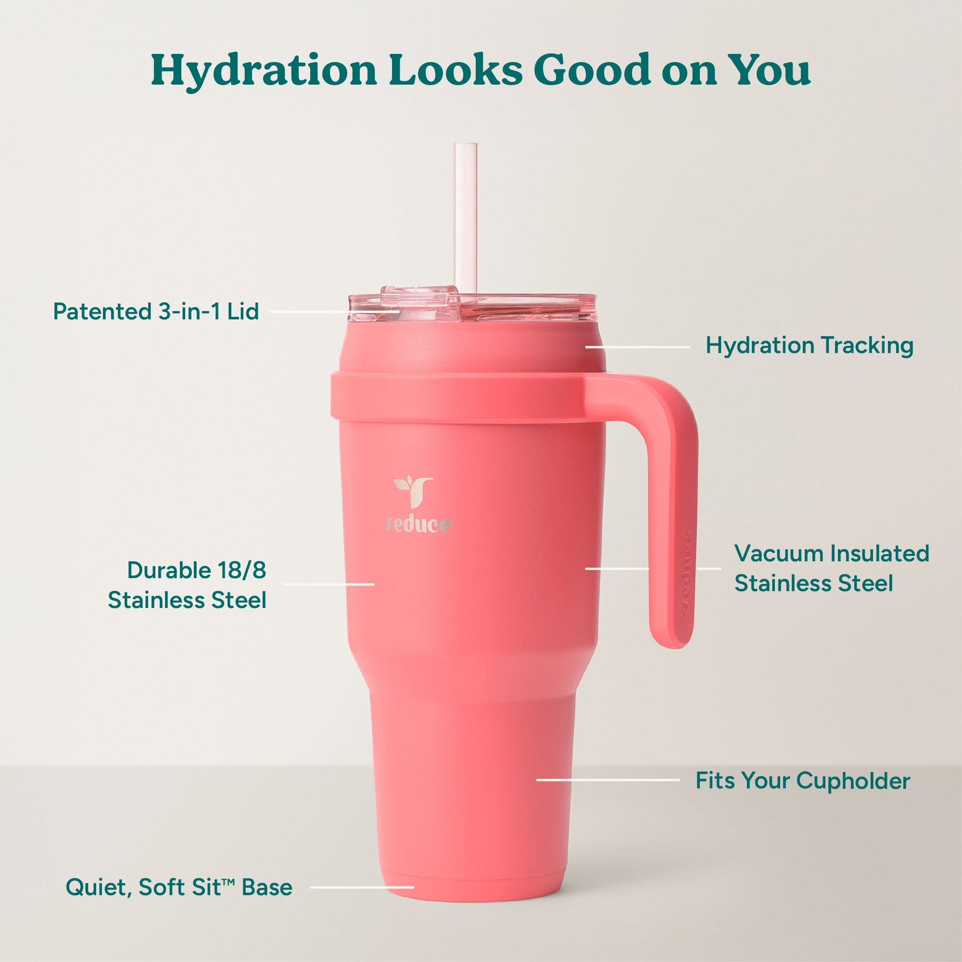cold1-40-oz-e3 Cold1_40oz_Daiquiri_Infographic_2.jpg