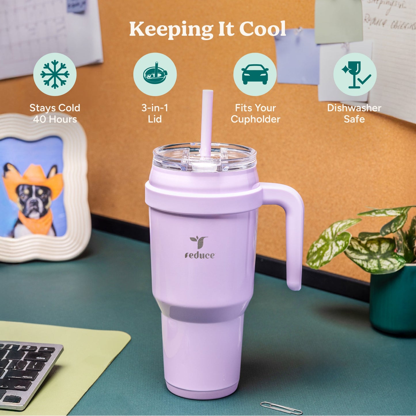 cold1-40-oz-e3 Cold1_40oz_OceanBreeze_Infographic_1.jpg