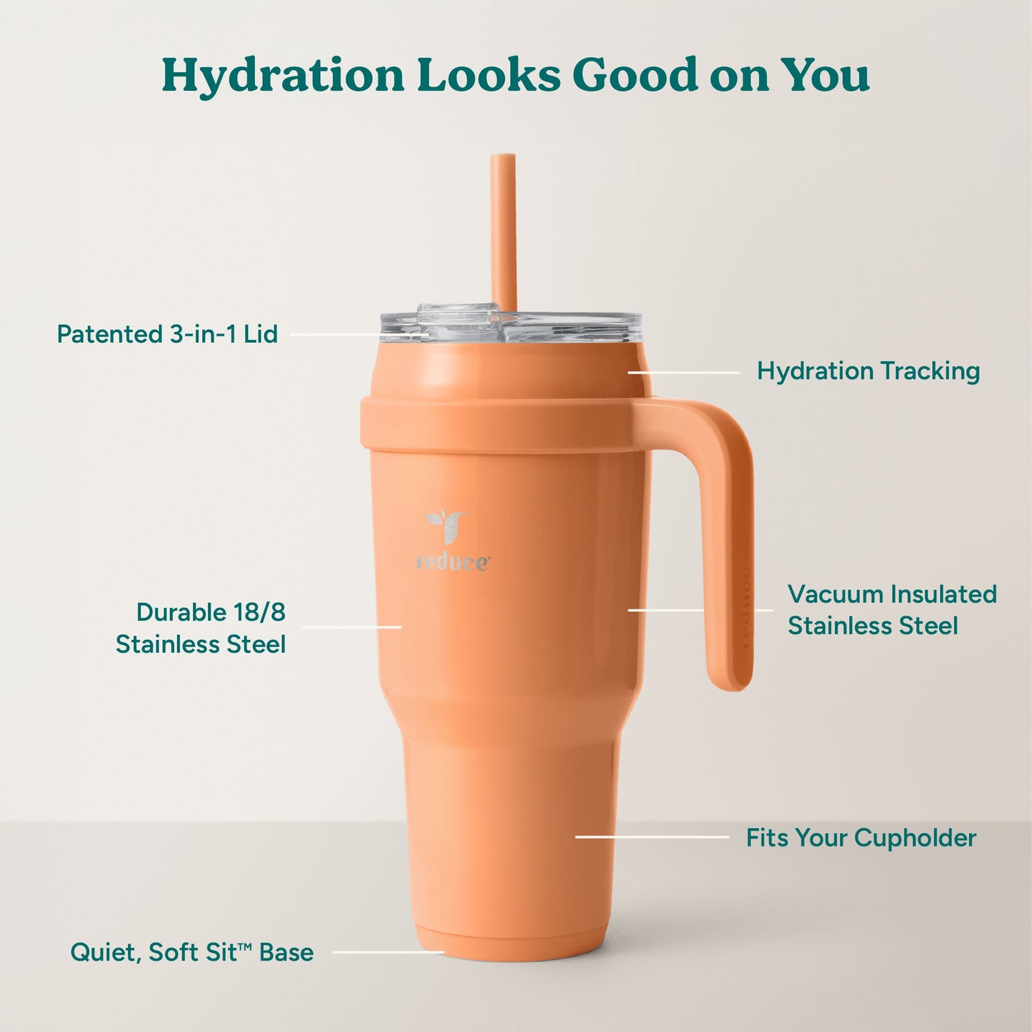 cold1-40-oz-z3 Cold1_40oz_Papaya_Infographic_2.jpg