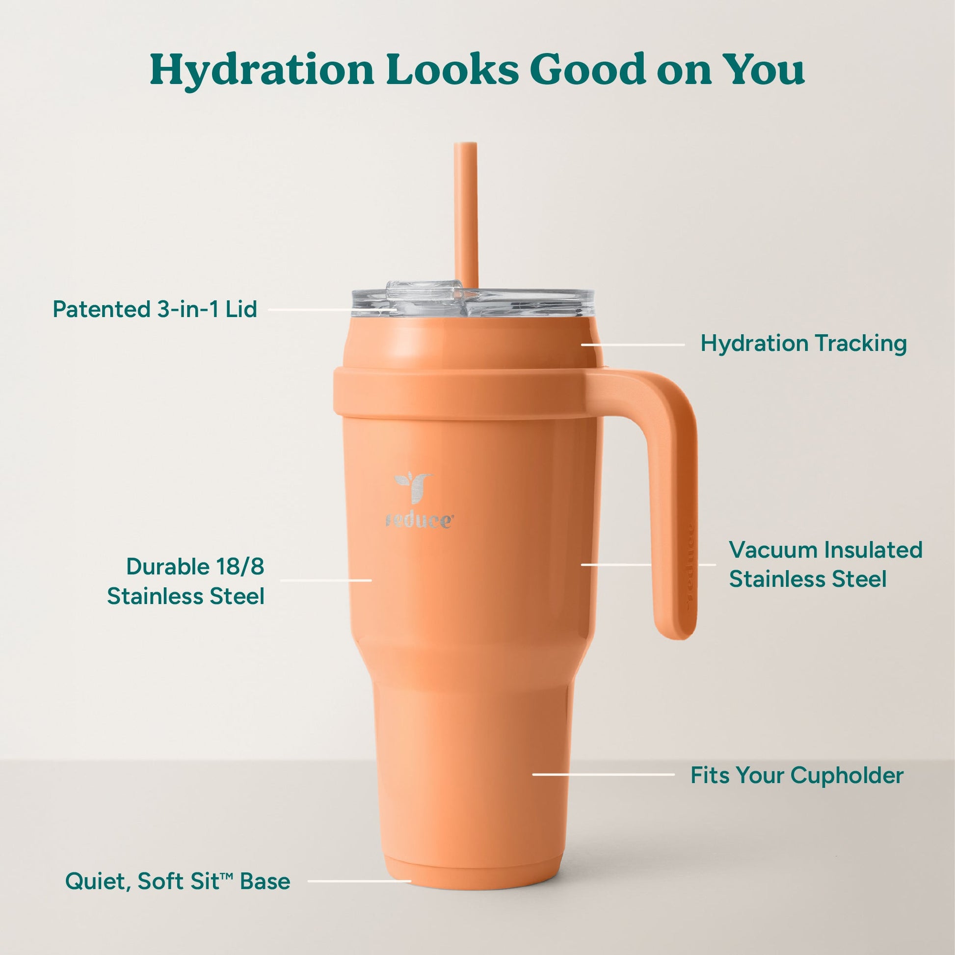 cold1-40-oz-z3 Cold1_40oz_Papaya_Infographic_2.jpg